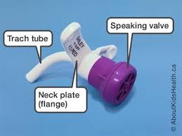 talking valve